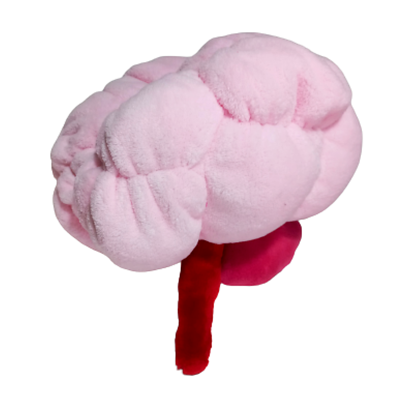Cerebro
