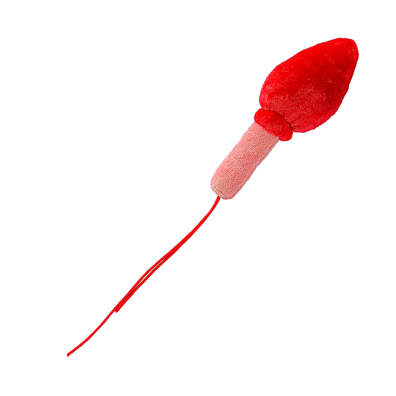 Espermatozoide