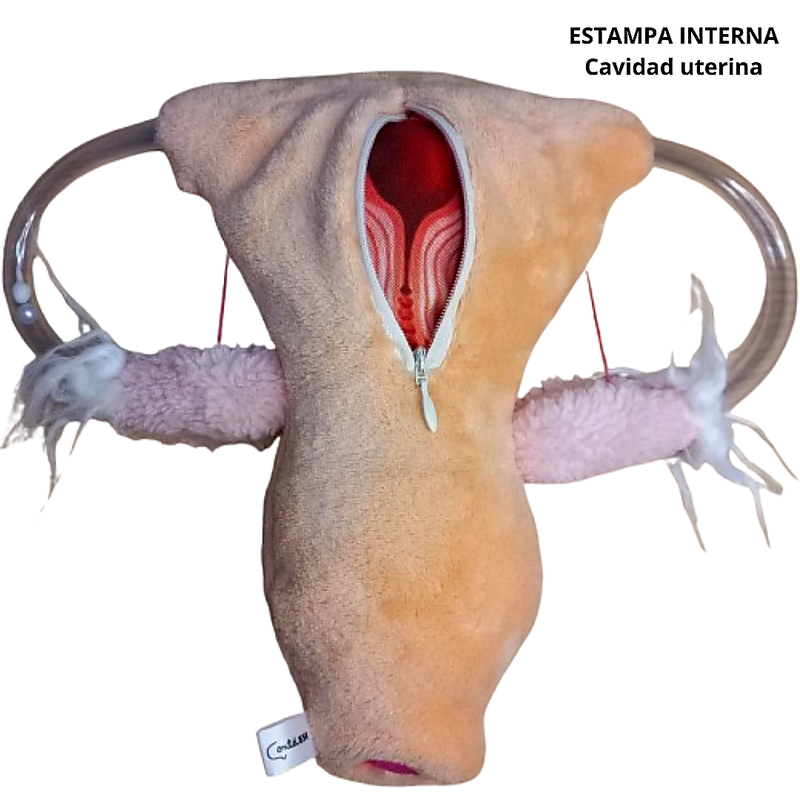 Atrás
