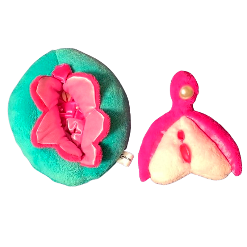 Vulva con Clítoris 16cm
