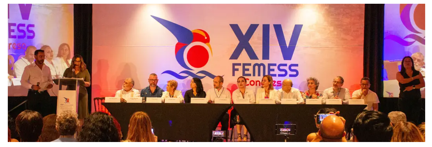FEMESS